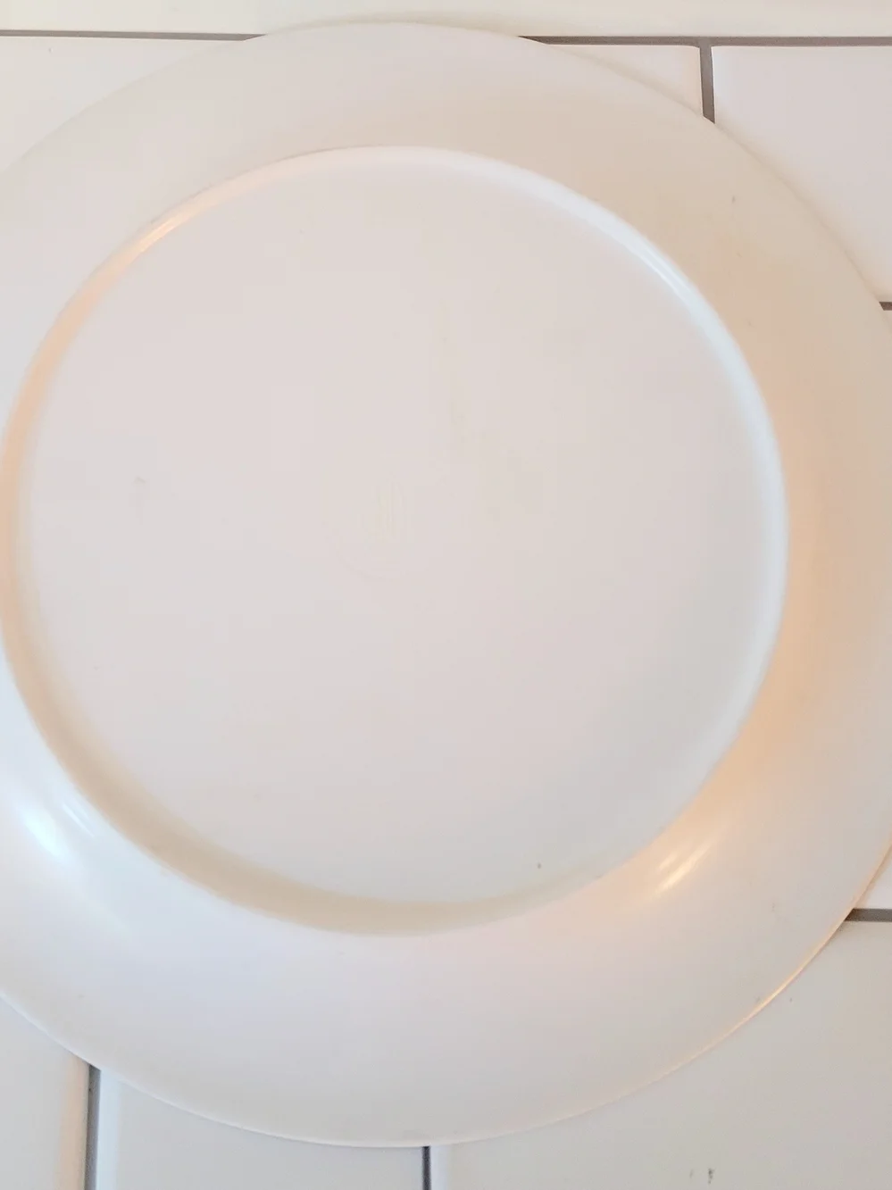 Hummingbird Floral Melamine Dinner Plate Blue Pink